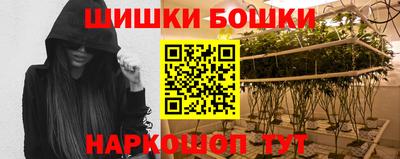 индика Абинск