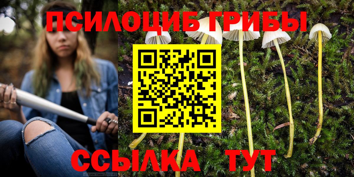 Альметьевск  Псилоцибиновые грибы MAGIC MUSHROOMS  Вход с VPN 
